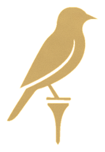 The Perch